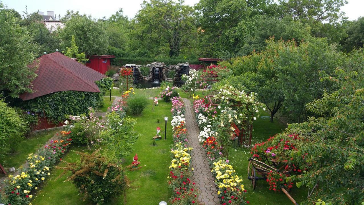 Pension Delia Gardens Temešvár Exteriér fotografie