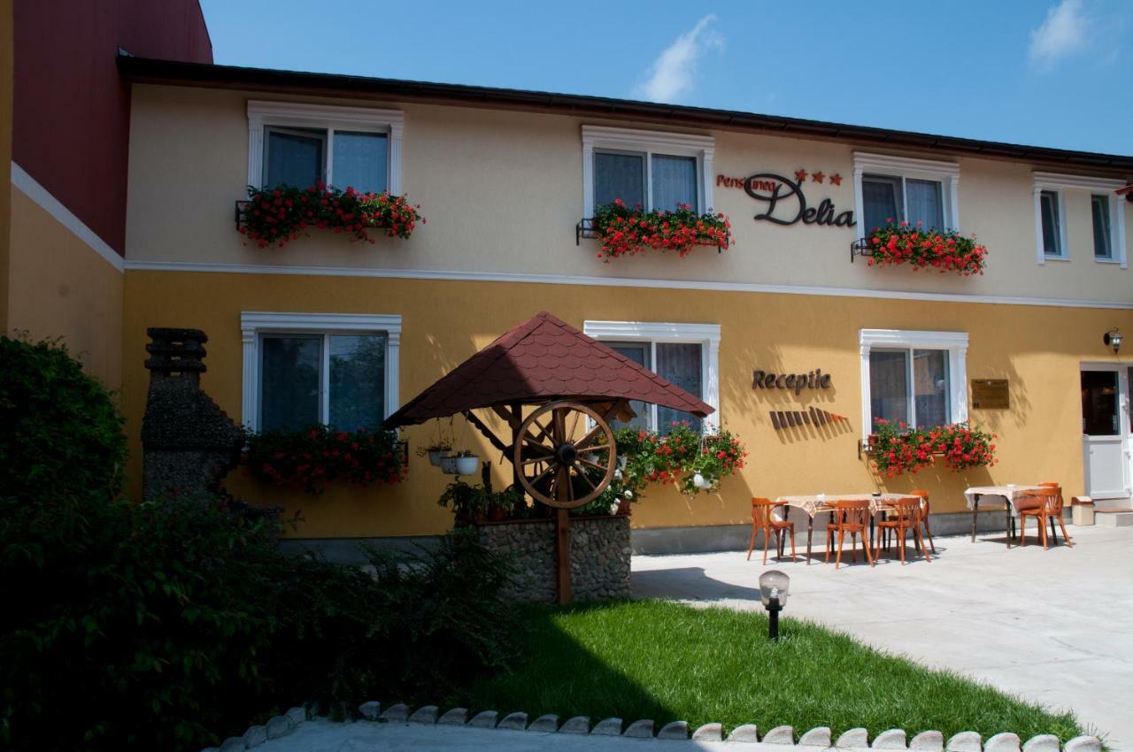 Pension Delia Gardens Temešvár Exteriér fotografie