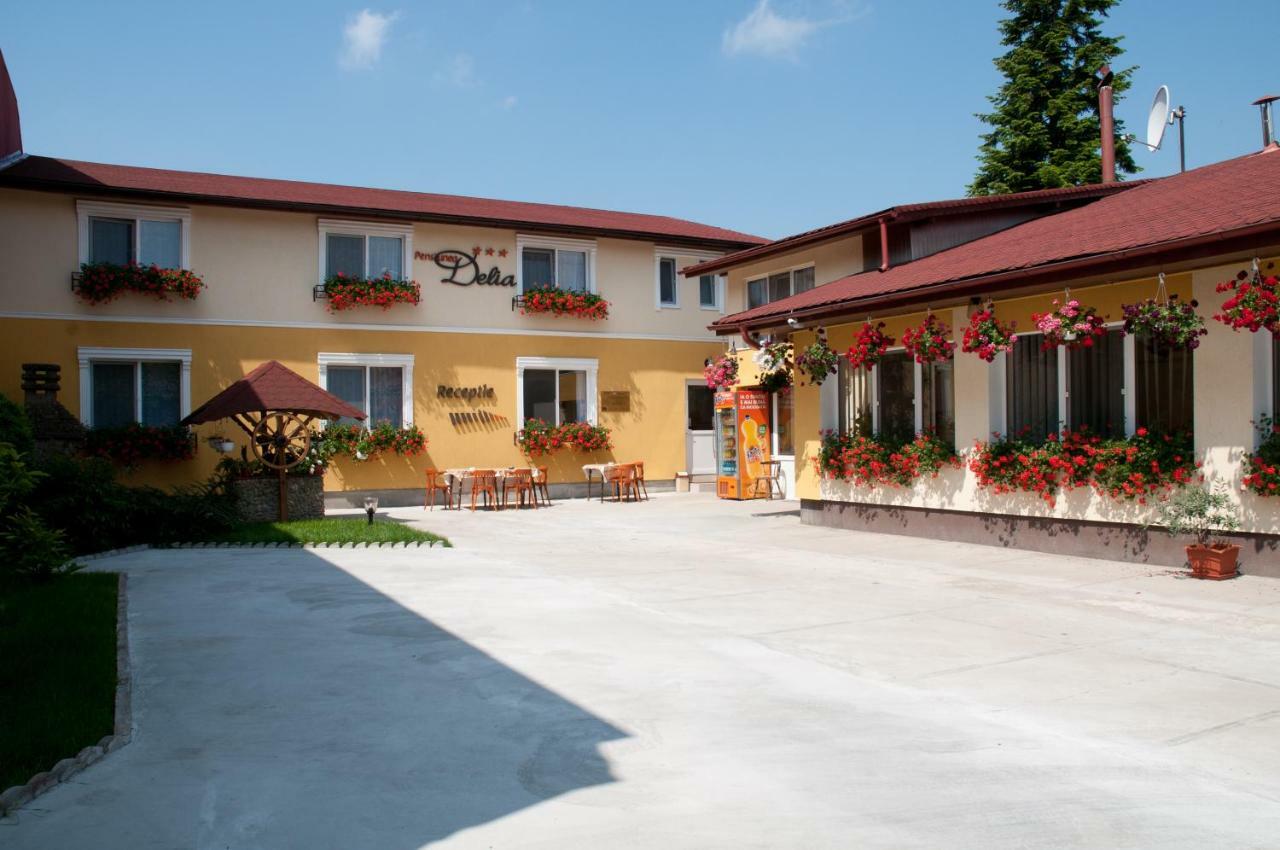 Pension Delia Gardens Temešvár Exteriér fotografie