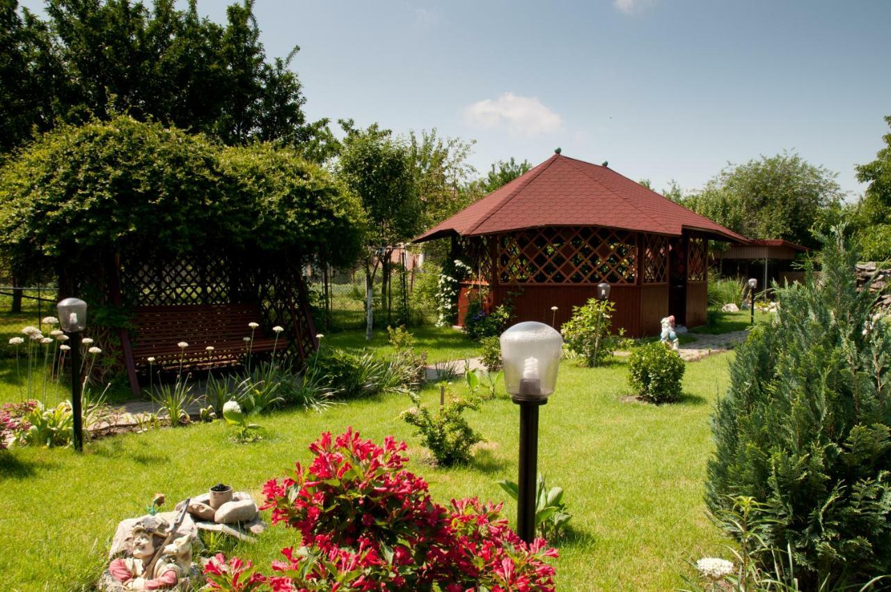 Pension Delia Gardens Temešvár Exteriér fotografie