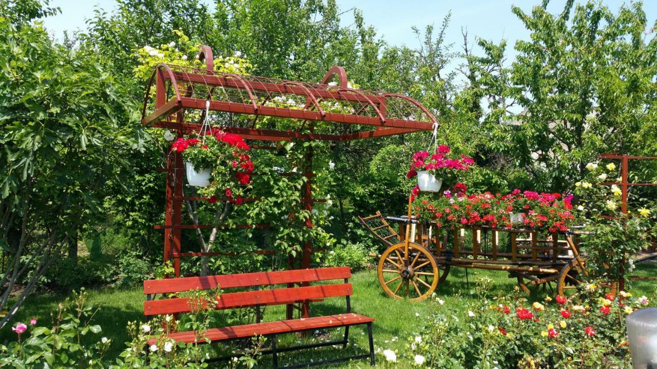 Pension Delia Gardens Temešvár Exteriér fotografie