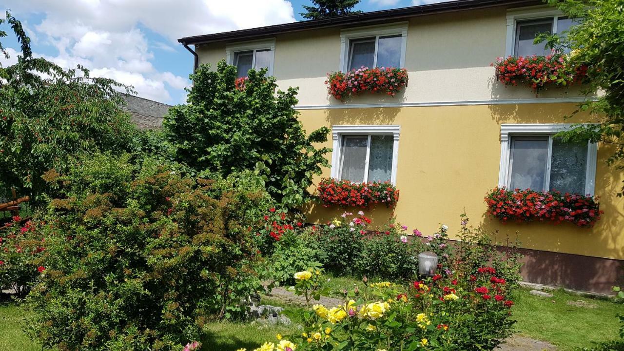 Pension Delia Gardens Temešvár Exteriér fotografie