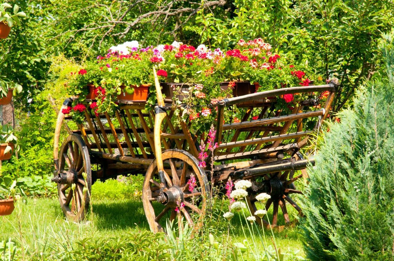 Pension Delia Gardens Temešvár Exteriér fotografie